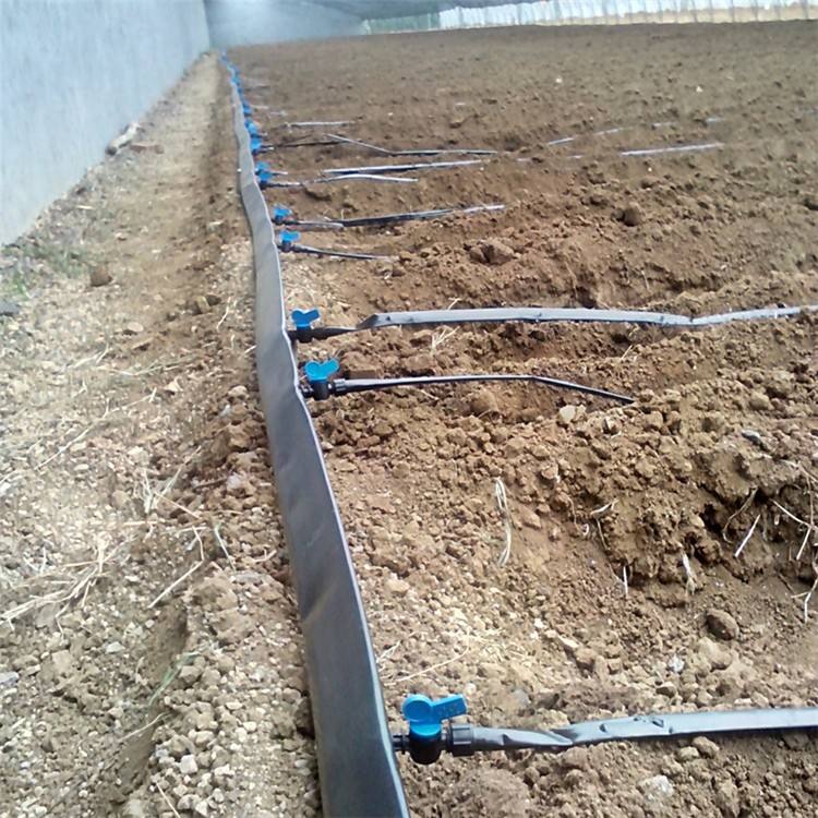 ���̰���